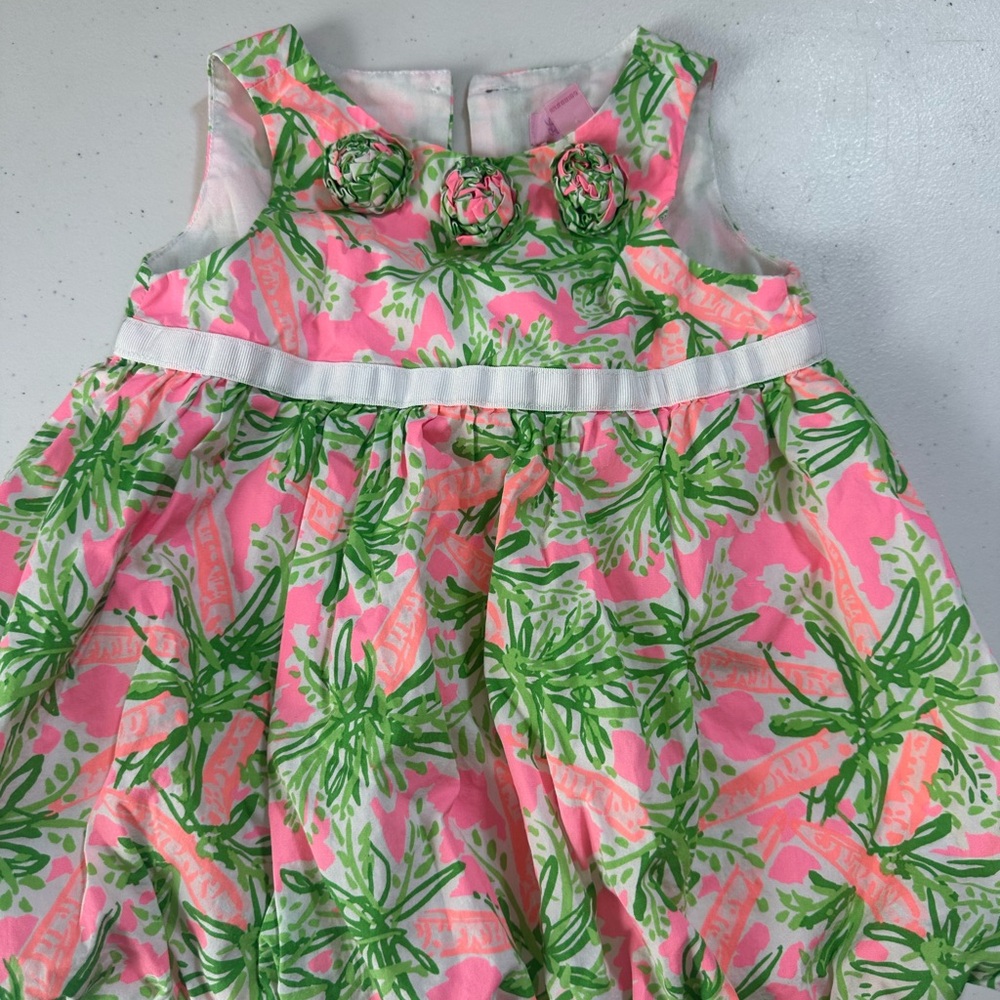 Lilly Pulitzer Pink and Green Floral Dress